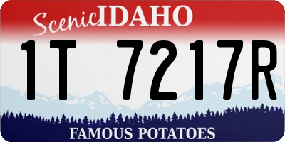 ID license plate 1T7217R