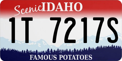 ID license plate 1T7217S