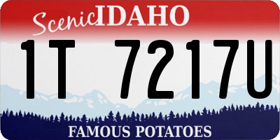 ID license plate 1T7217U