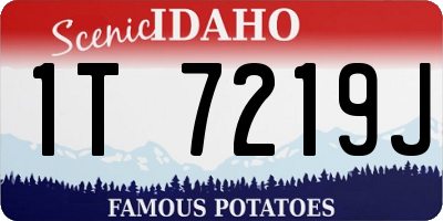 ID license plate 1T7219J
