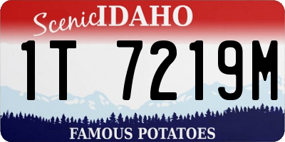 ID license plate 1T7219M