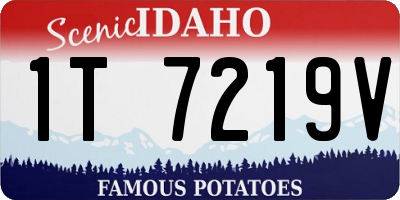 ID license plate 1T7219V