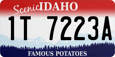 ID license plate 1T7223A