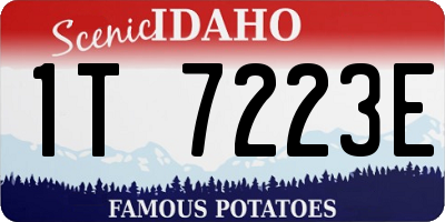 ID license plate 1T7223E