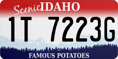 ID license plate 1T7223G