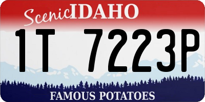 ID license plate 1T7223P