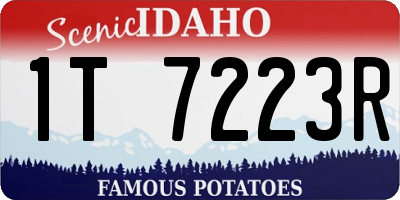 ID license plate 1T7223R