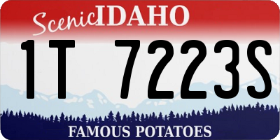 ID license plate 1T7223S