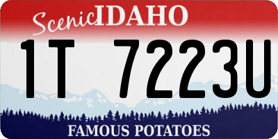 ID license plate 1T7223U