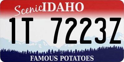 ID license plate 1T7223Z