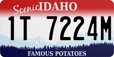 ID license plate 1T7224M