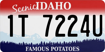 ID license plate 1T7224U