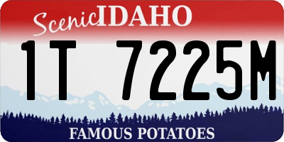 ID license plate 1T7225M