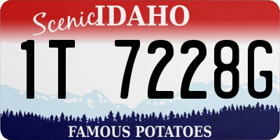 ID license plate 1T7228G