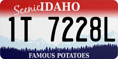 ID license plate 1T7228L