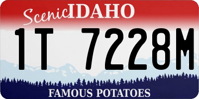 ID license plate 1T7228M