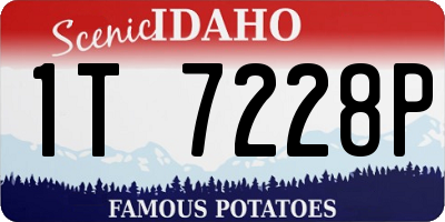 ID license plate 1T7228P