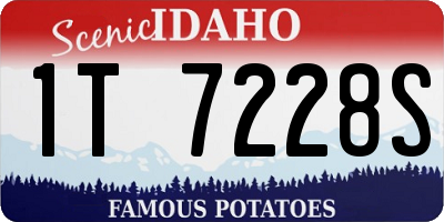 ID license plate 1T7228S
