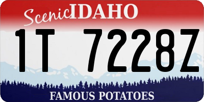 ID license plate 1T7228Z