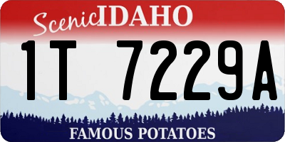 ID license plate 1T7229A