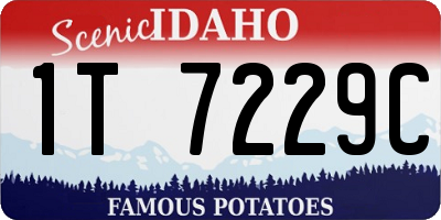 ID license plate 1T7229C