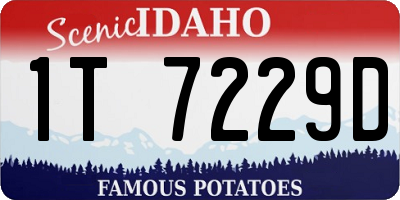 ID license plate 1T7229D