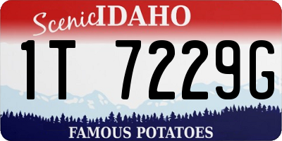 ID license plate 1T7229G