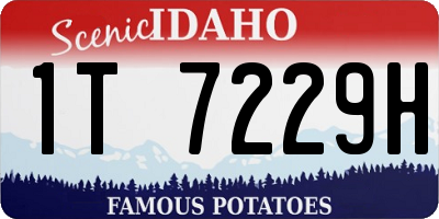 ID license plate 1T7229H