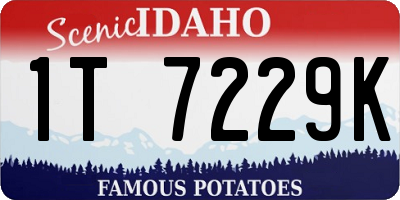 ID license plate 1T7229K