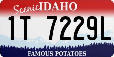 ID license plate 1T7229L
