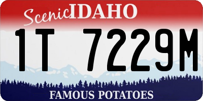 ID license plate 1T7229M
