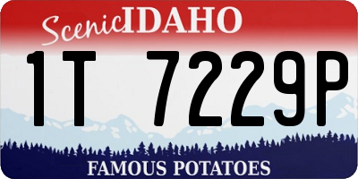 ID license plate 1T7229P