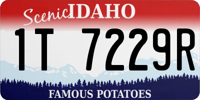 ID license plate 1T7229R