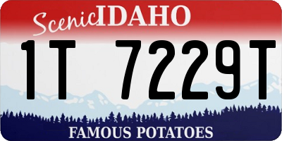 ID license plate 1T7229T