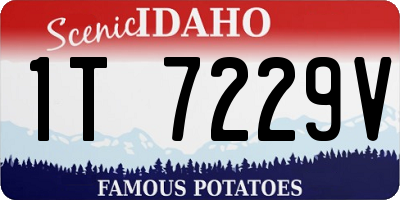 ID license plate 1T7229V