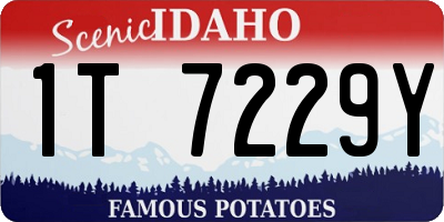 ID license plate 1T7229Y