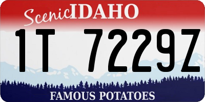 ID license plate 1T7229Z