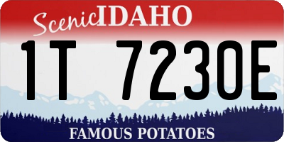 ID license plate 1T7230E
