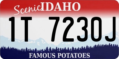 ID license plate 1T7230J