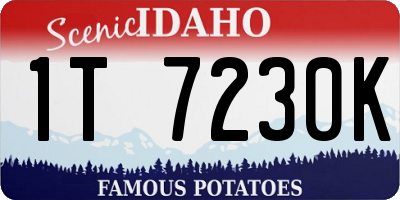 ID license plate 1T7230K