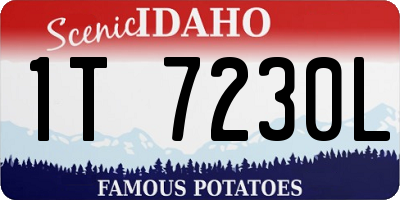 ID license plate 1T7230L