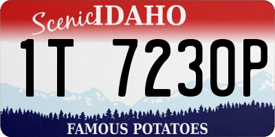 ID license plate 1T7230P