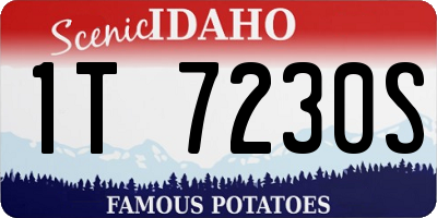 ID license plate 1T7230S