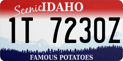 ID license plate 1T7230Z