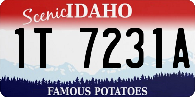 ID license plate 1T7231A