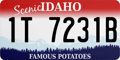 ID license plate 1T7231B