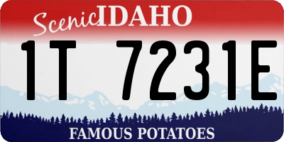 ID license plate 1T7231E
