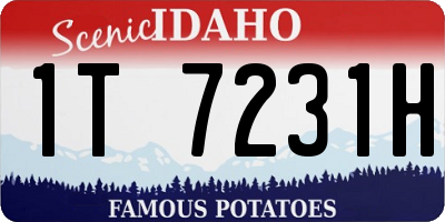 ID license plate 1T7231H