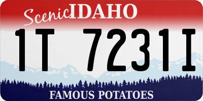 ID license plate 1T7231I