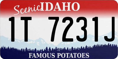 ID license plate 1T7231J